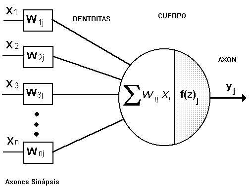 perceptron